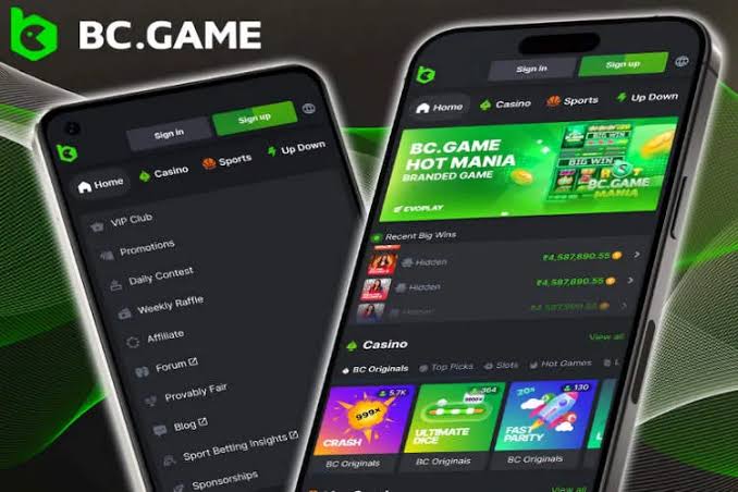 BC Game Kasino Online Indonesia Panduan Lengkap untuk Pemain 829673395 BC Game Kasino Online Indonesia Panduan Lengkap untuk Pemain 829673395